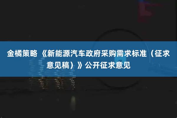 金橘策略 《新能源汽车政府采购需求标准（征求意见稿）》公开征求意见